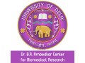 dr-b-r-ambedkar-center-for-biomedical-research-small-0