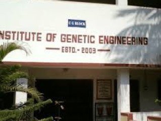 INSTITUTE OF GENETIC ENGINEERING