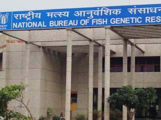 NATIONAL BUREAU OF FISH GENETIC RESOURCES