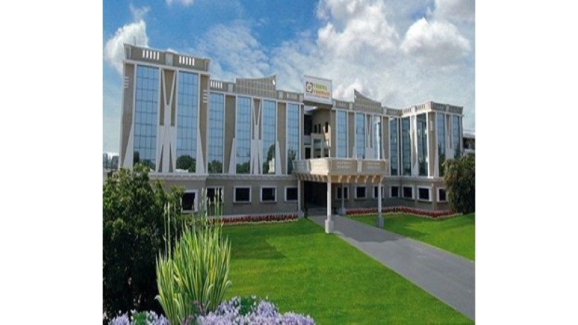 vishwa-vishwani-institute-of-systems-and-management-big-0